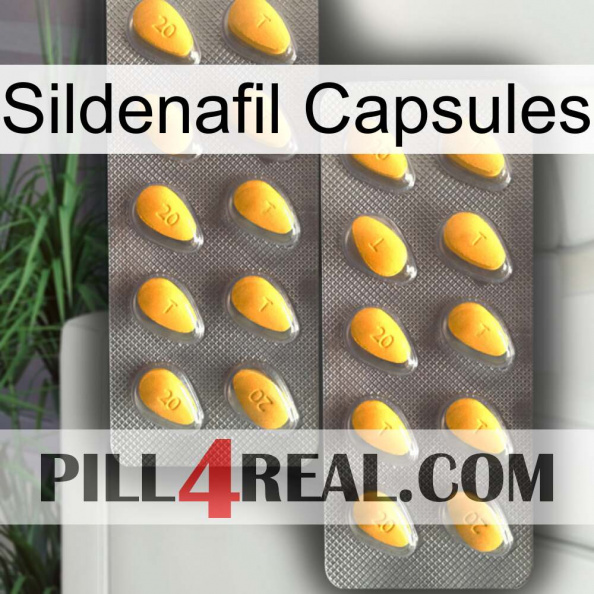 Sildenafil Capsules cialis2.jpg